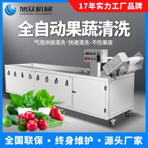 農(nóng)產(chǎn)品設(shè)備多功能蔬果凈菜流水清洗線(xiàn)洗菜機(jī)